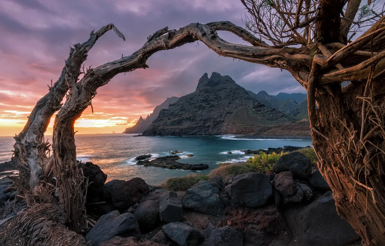 Photo wallpaper sea, sunset, shore