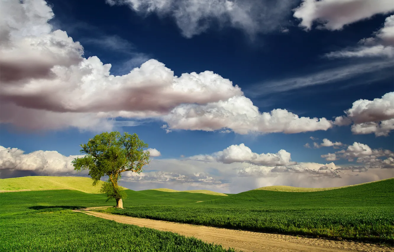 Photo wallpaper road, the sky, clouds, nature, tree, field, spring