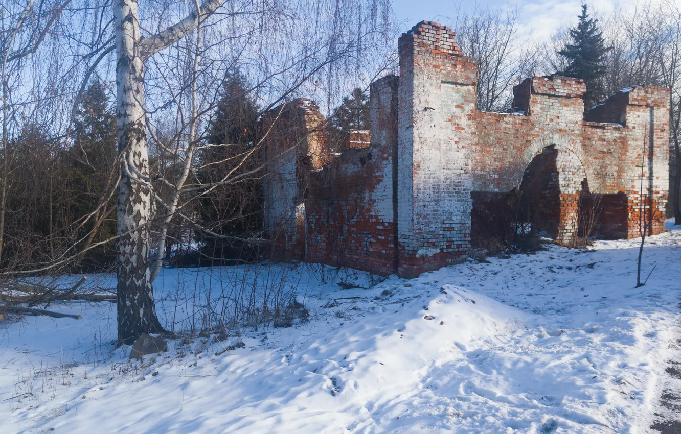 Photo wallpaper winter, the sky, clouds, snow, trees, the ruins, ruins, Russia