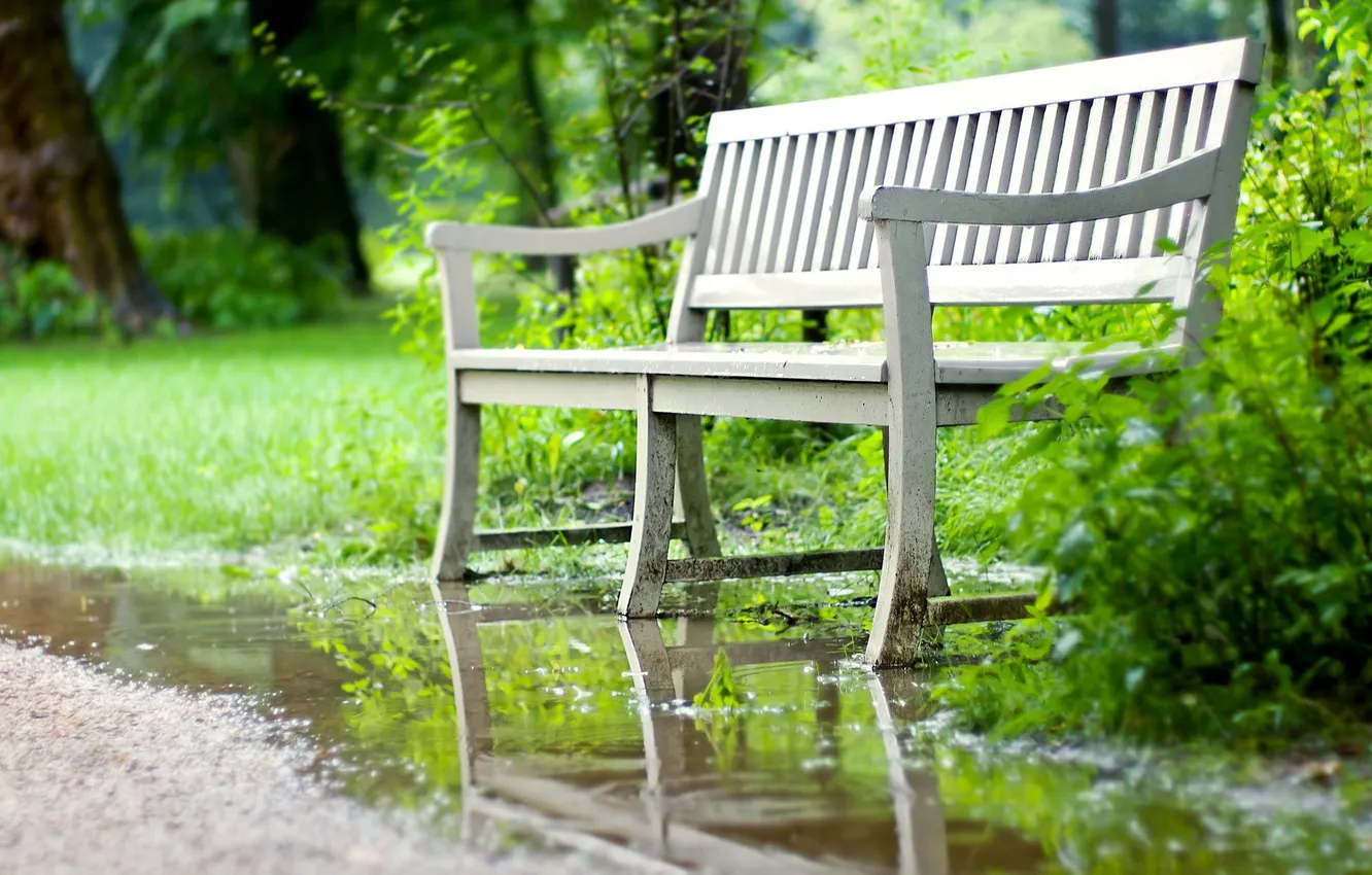 Photo wallpaper summer, Park, bench