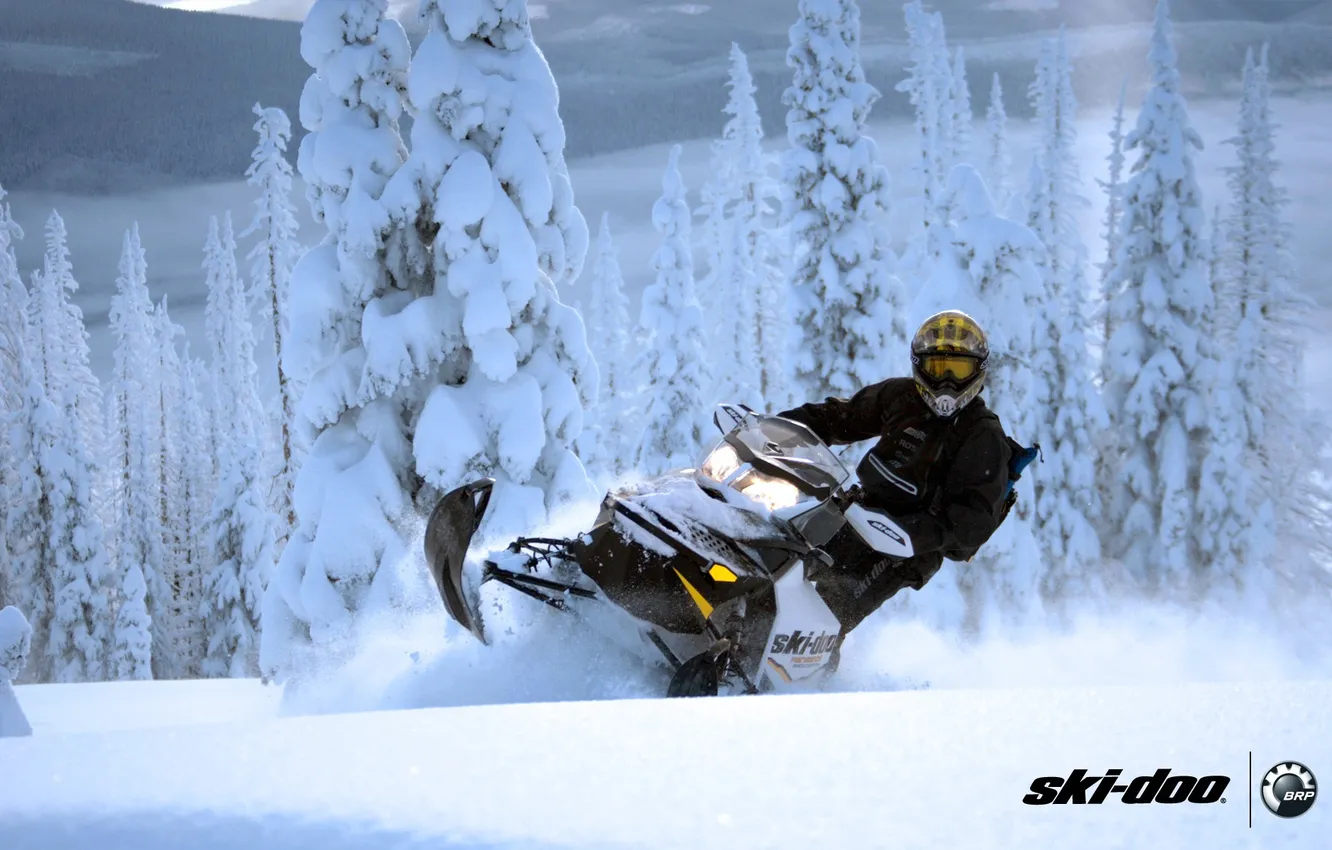 Photo wallpaper forest, snow, sport, sport, snow, snowmobile, 600, backcountry
