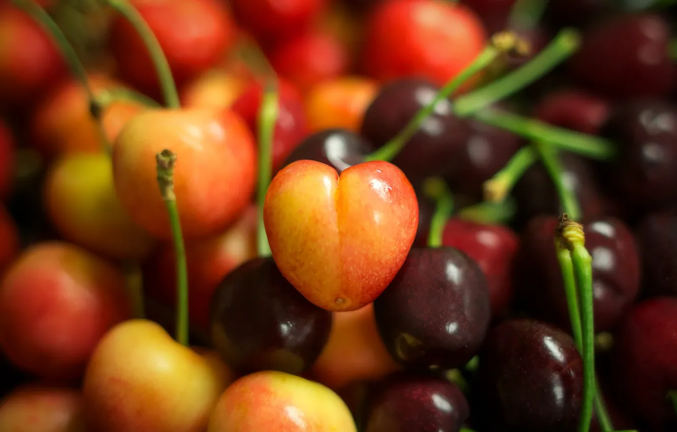 Photo wallpaper macro, yellow, red, cherry, berries, heart, hearts, cherry