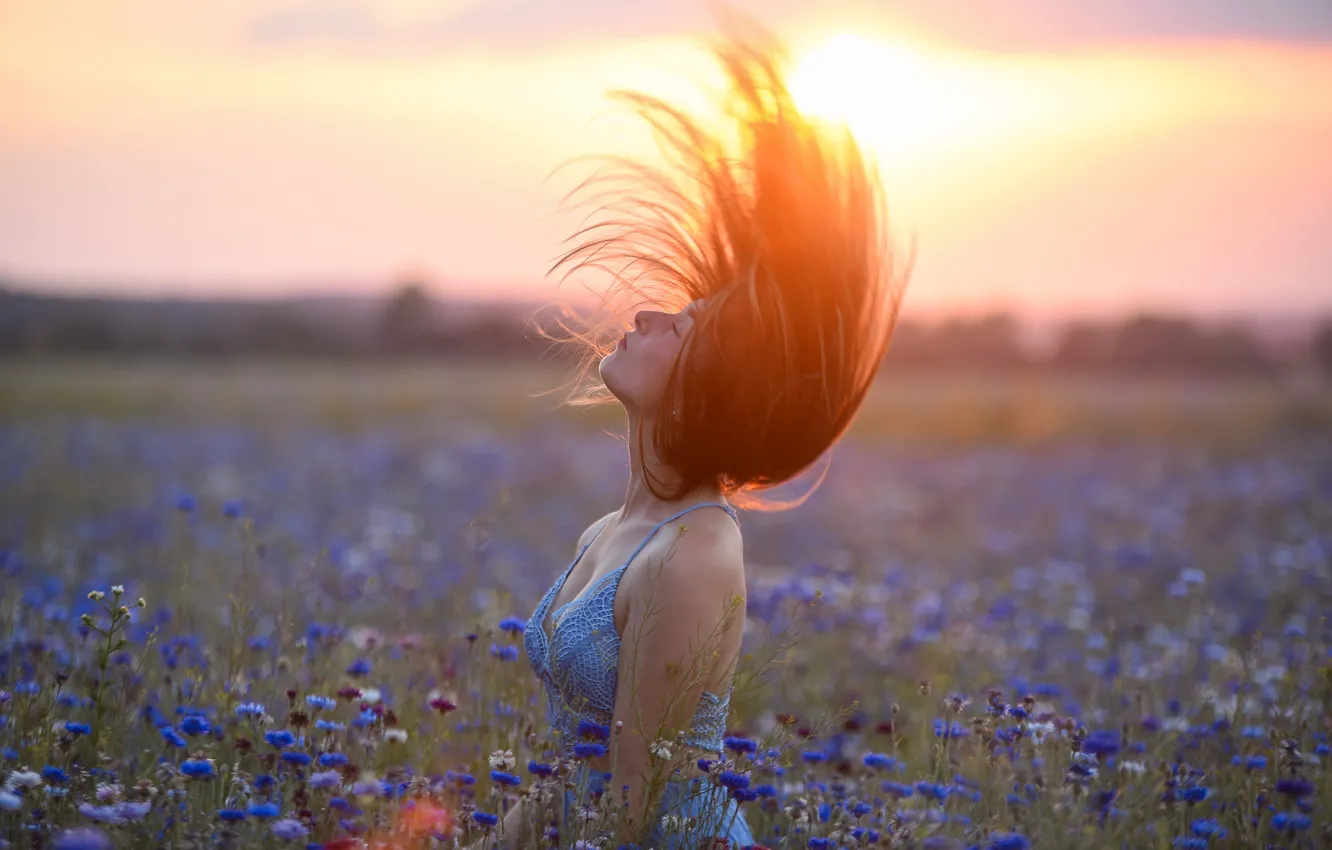 Photo wallpaper field, the sky, girl, the sun, rays, light, sunset, flowers