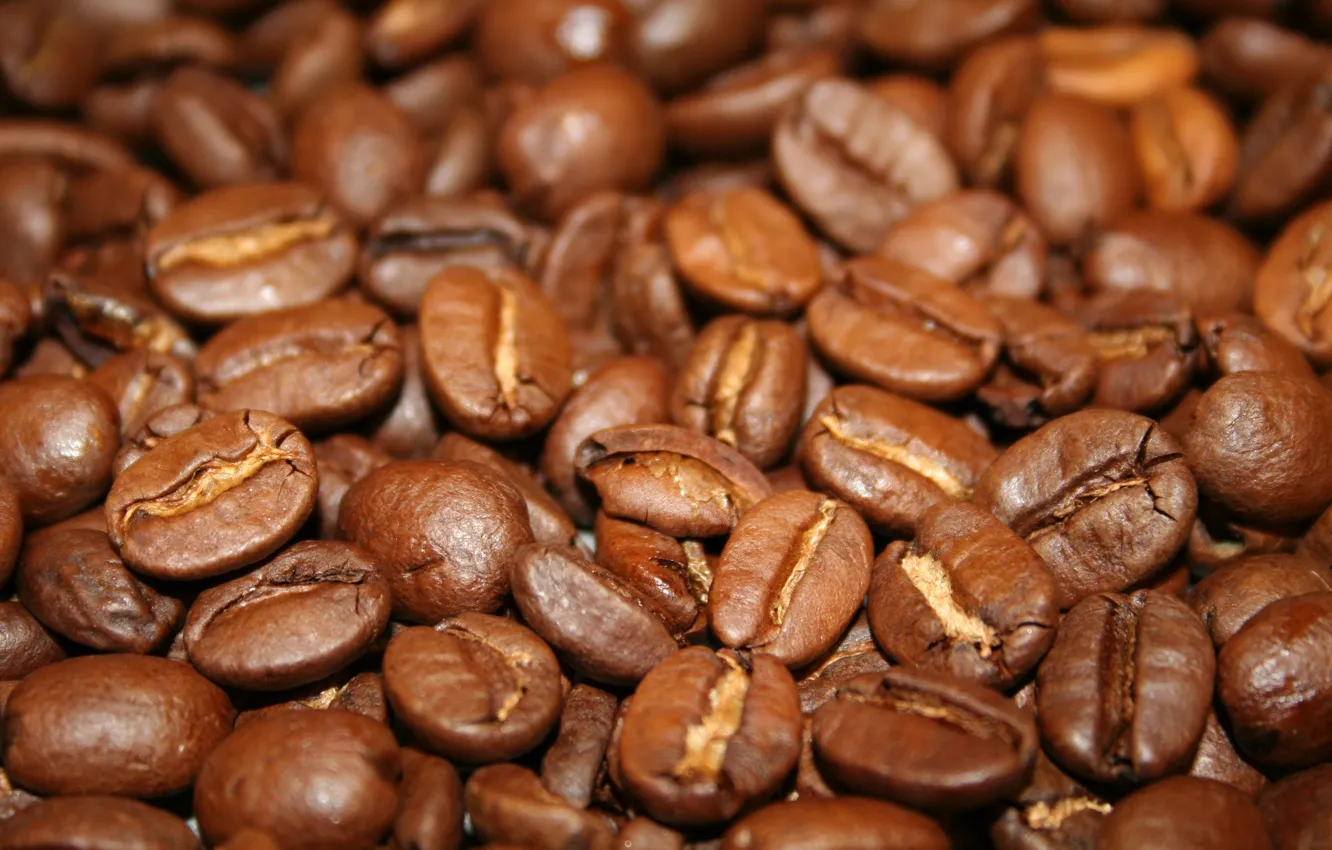 Photo wallpaper coffee, food, coffee beans