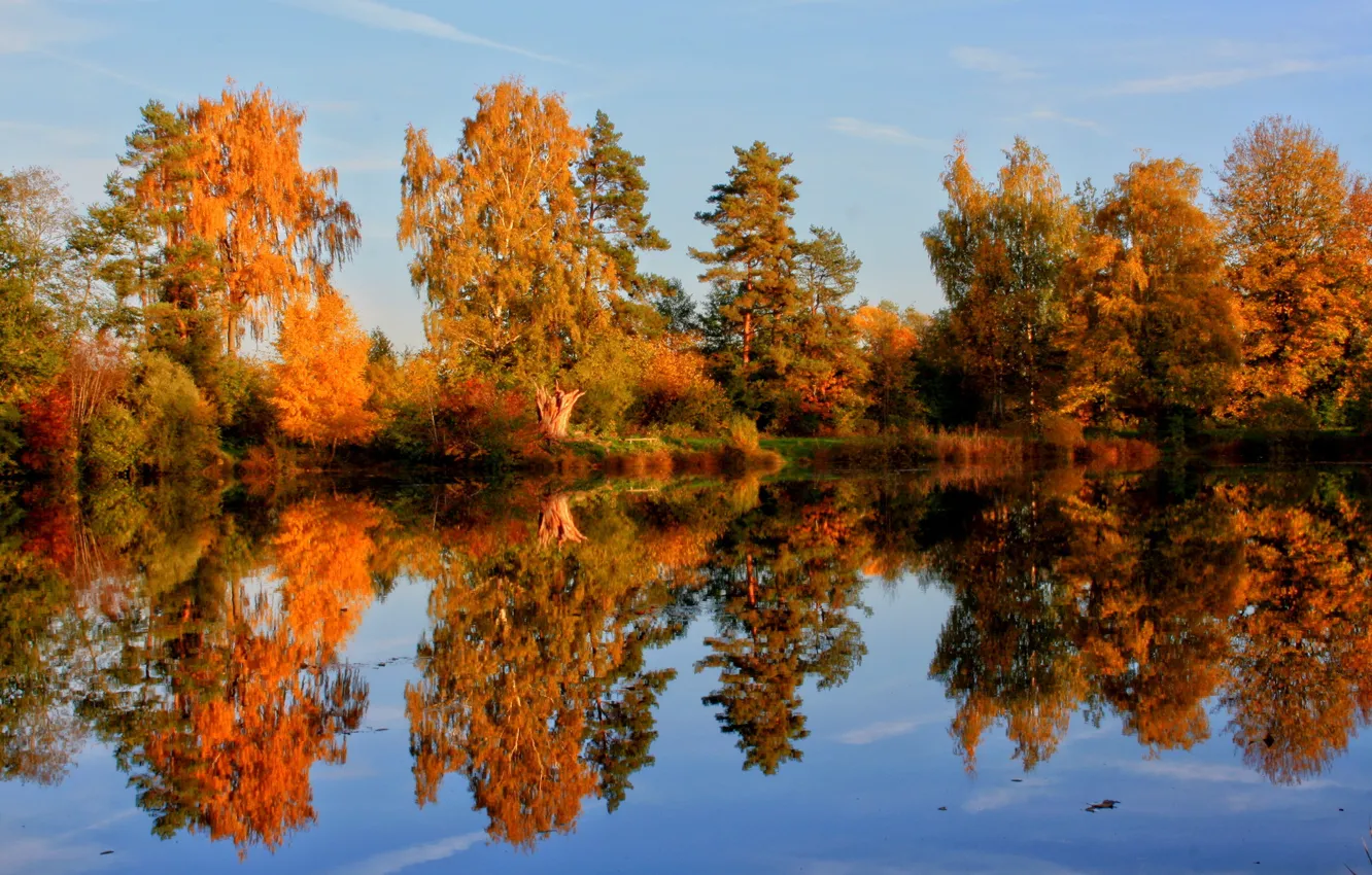 Photo wallpaper autumn, nature, Germany, Germany, trees., Laupheim