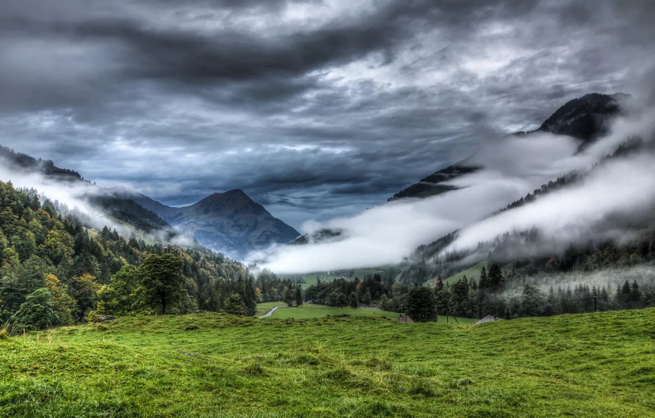 Photo wallpaper forest, clouds, mountains, nature, fog, meadow