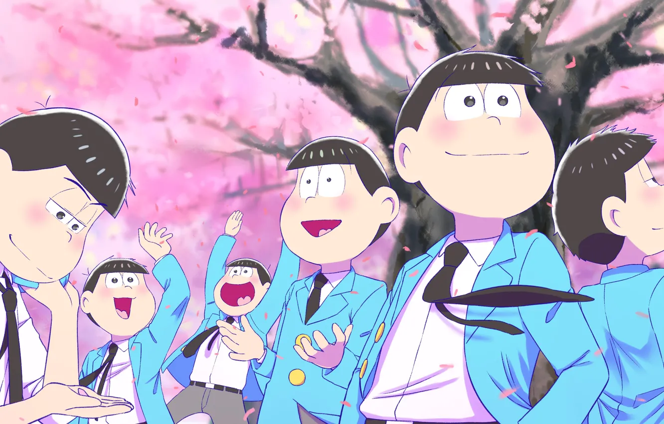 Photo wallpaper Sakura, flowering, Matsuno Choromatsu, Osomatsu Matsuno, Karamatsu Matsuno, Matsuno Todomatsu, Ichimatsu Matsuno, Osomatsu-kun