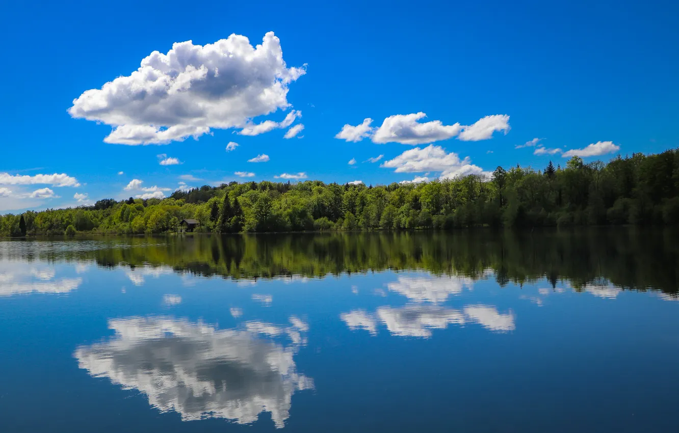 Photo wallpaper forest, clouds, lake, reflection