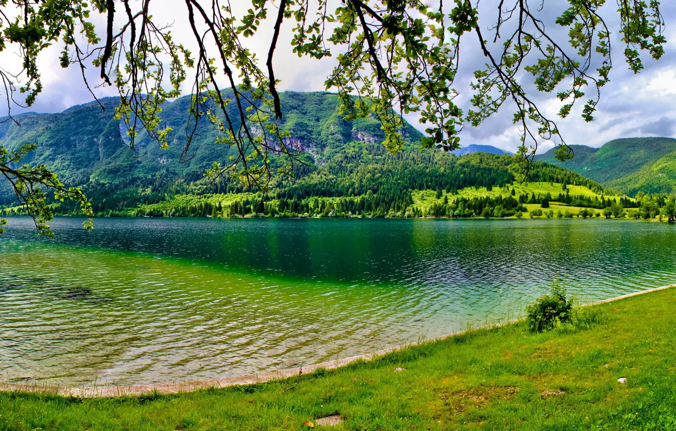 Photo wallpaper greens, summer, trees, lake, mountain, Slovenia, Bohinj