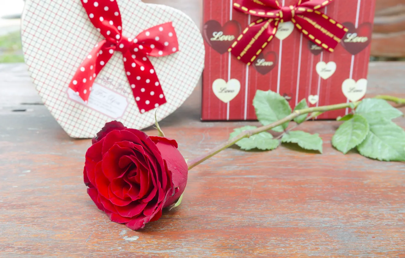 Photo wallpaper flowers, gift, roses, pink, flowers, romantic, gift, roses