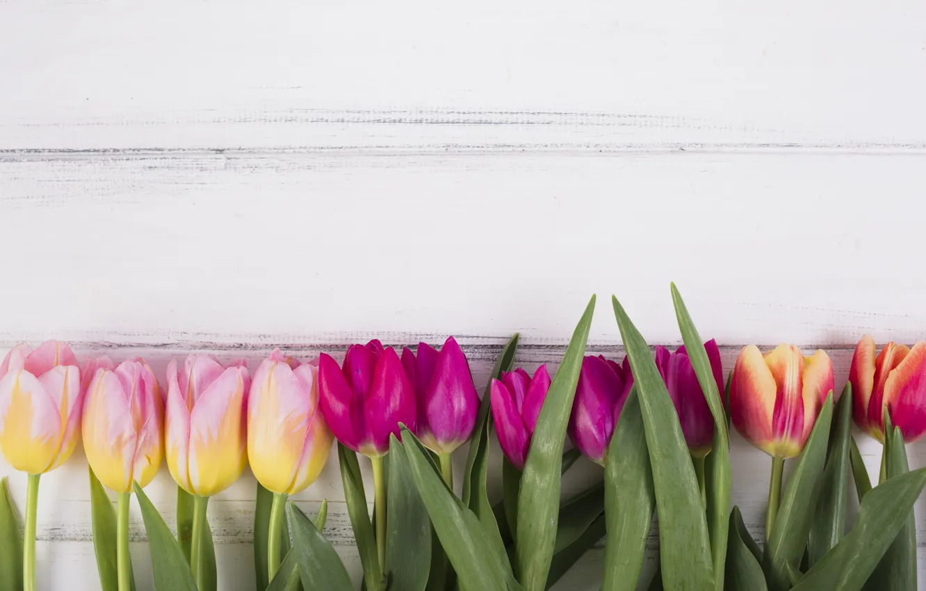 Photo wallpaper white, background, tulips, wood, composition, tulip