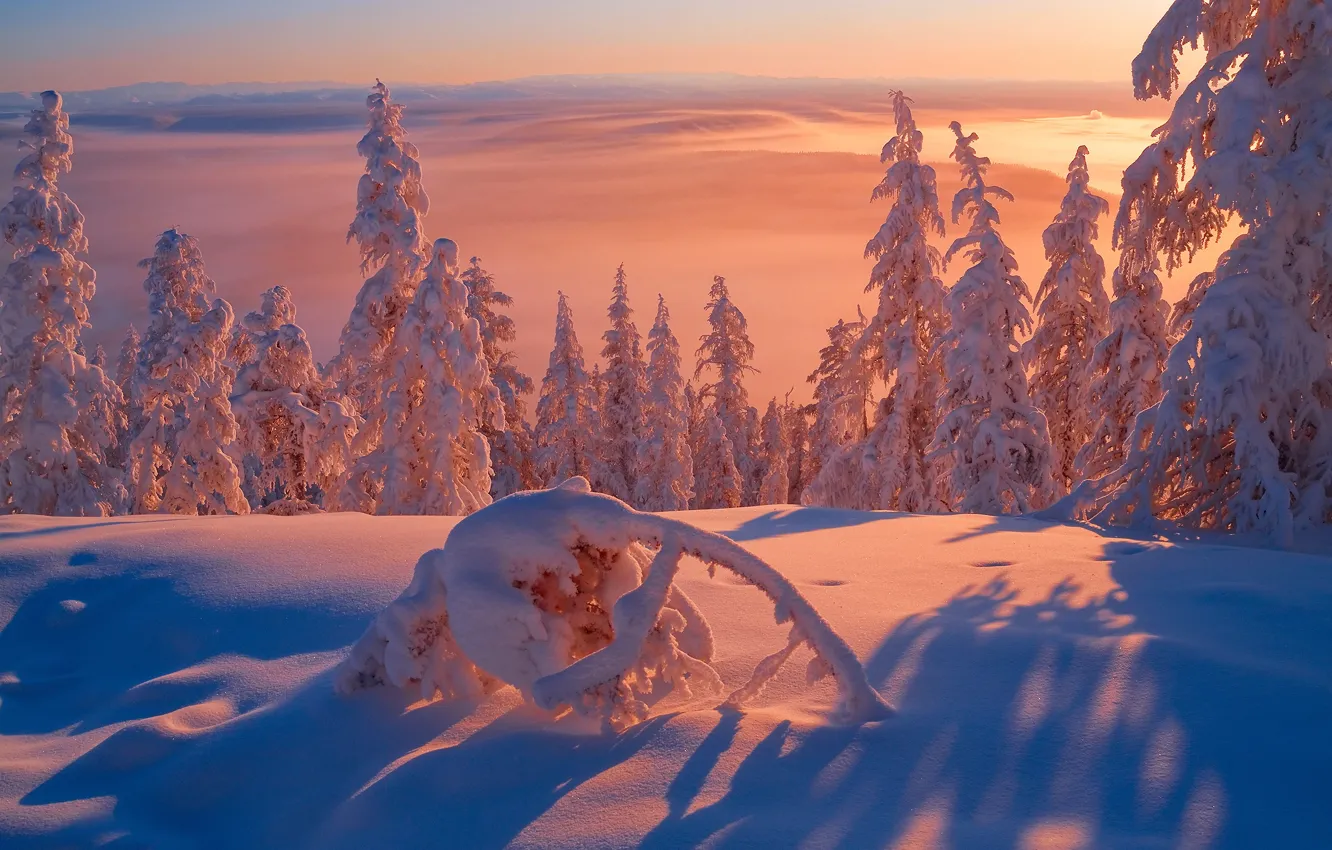 Photo wallpaper winter, light, snow, frost, cold, Siberia, The Republic Of Sakha, Yakutia