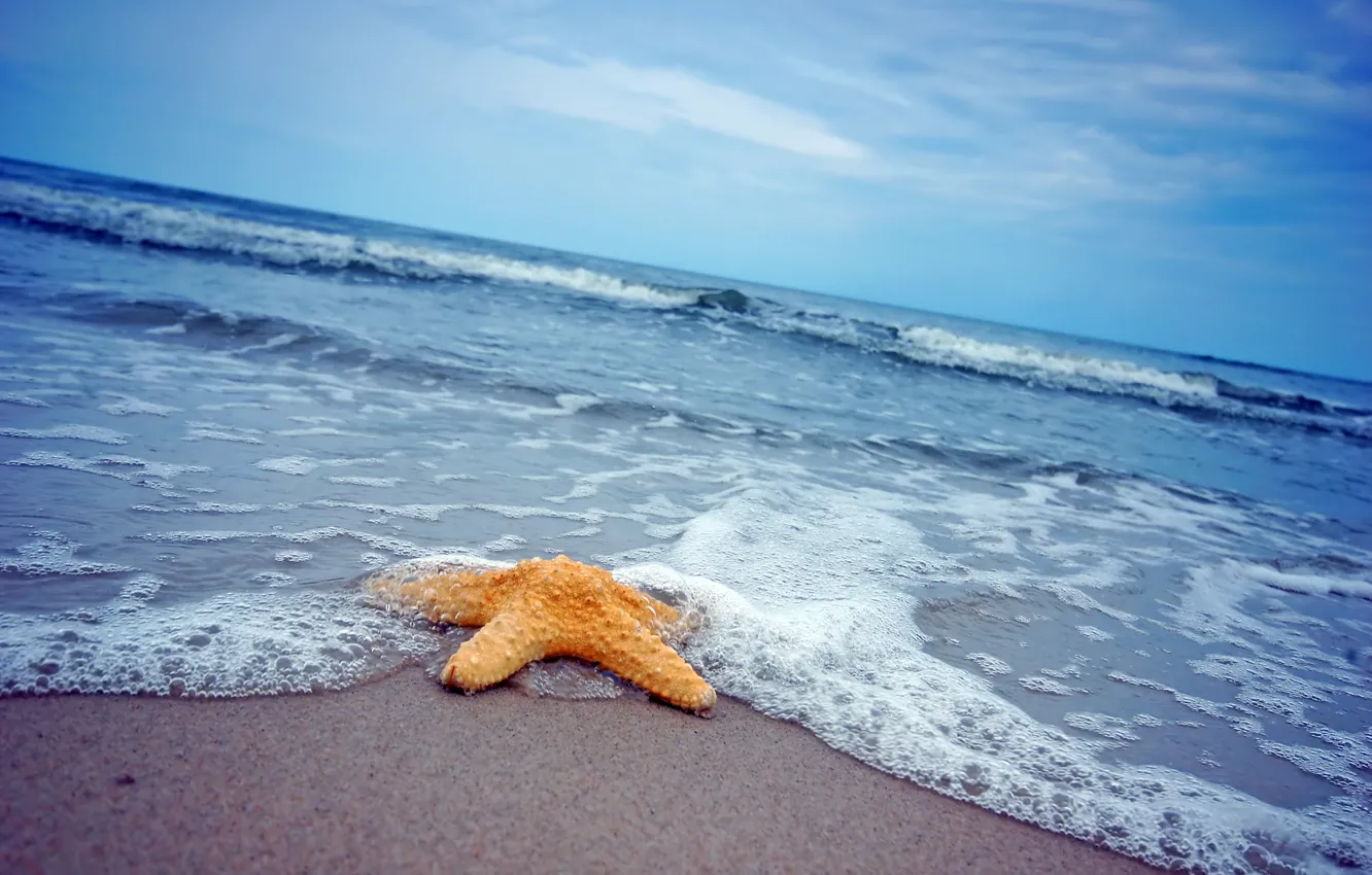 Photo wallpaper sand, sea, beach, star, summer, beach, sea, sand