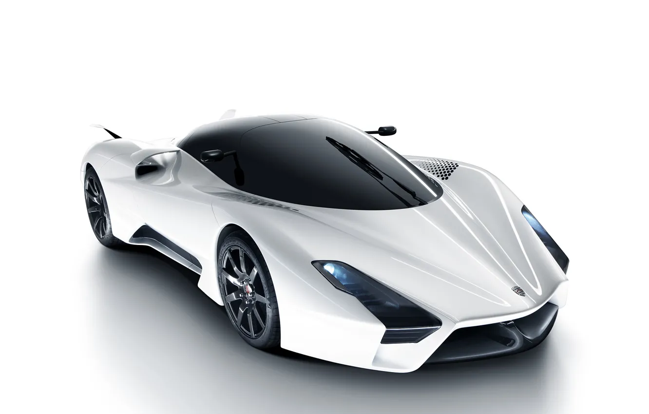 Photo wallpaper 2012, SSC, Tuatara