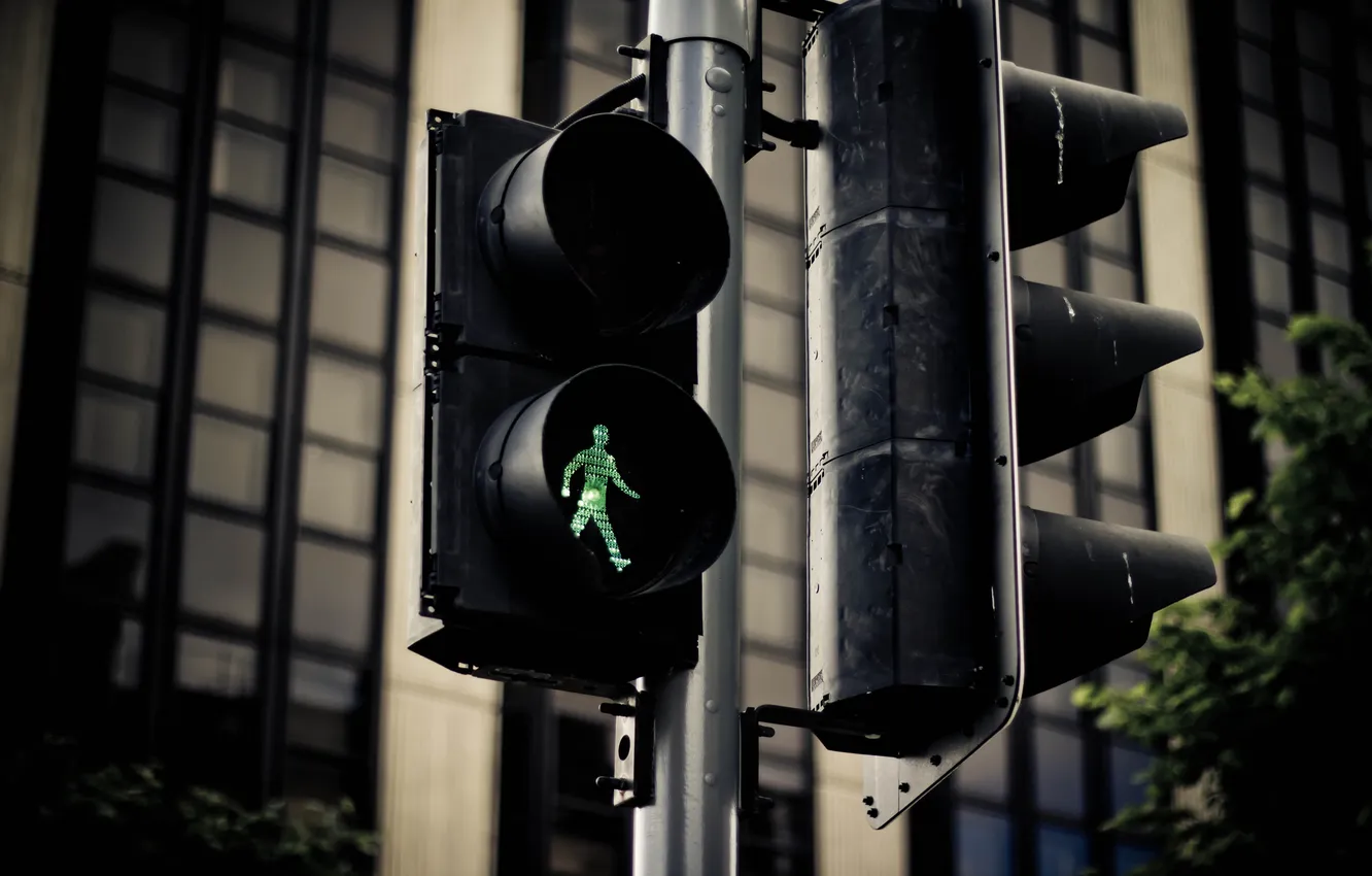 Photo wallpaper trees, green, green, color, building, home, traffic light, trees