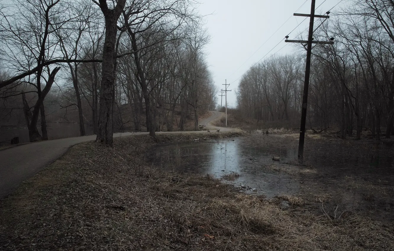 Photo wallpaper road, spring, the evening