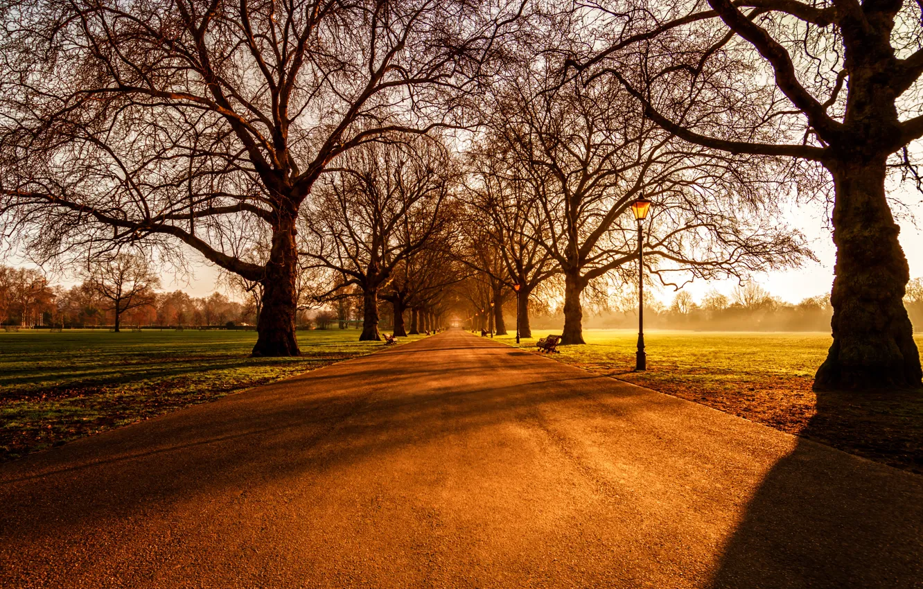 Photo wallpaper sunrise, London, Battersea Park