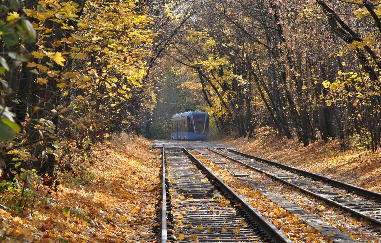 Photo wallpaper autumn, tram, falling leaves
