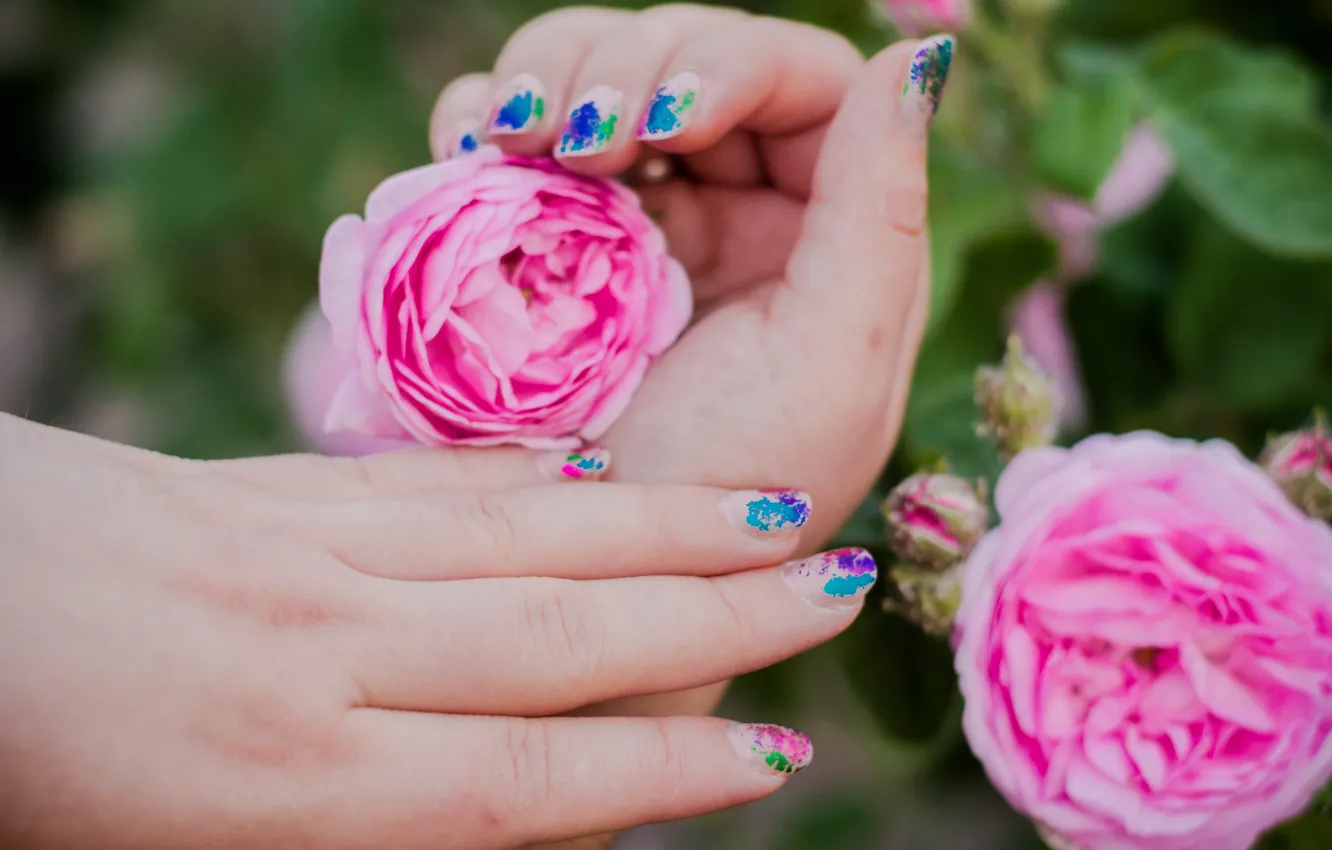 Photo wallpaper nature, roses, spring, hands, tea rose