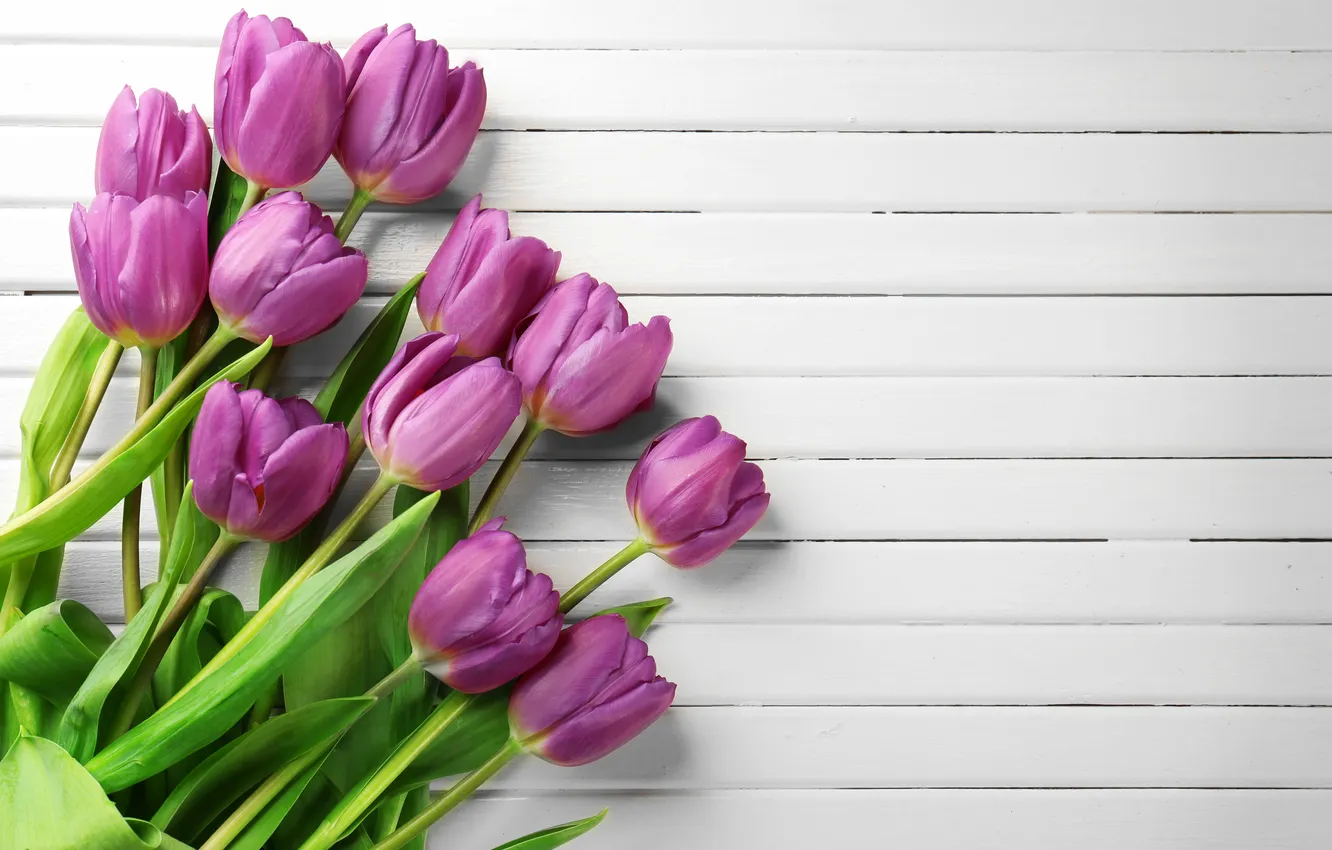 Photo wallpaper flowers, bouquet, tulips, wood, flowers, tulips, spring, purple
