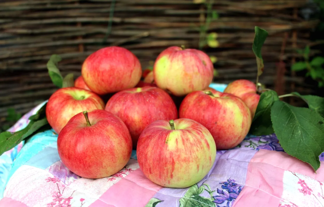 Photo wallpaper apples, fruit, fruit