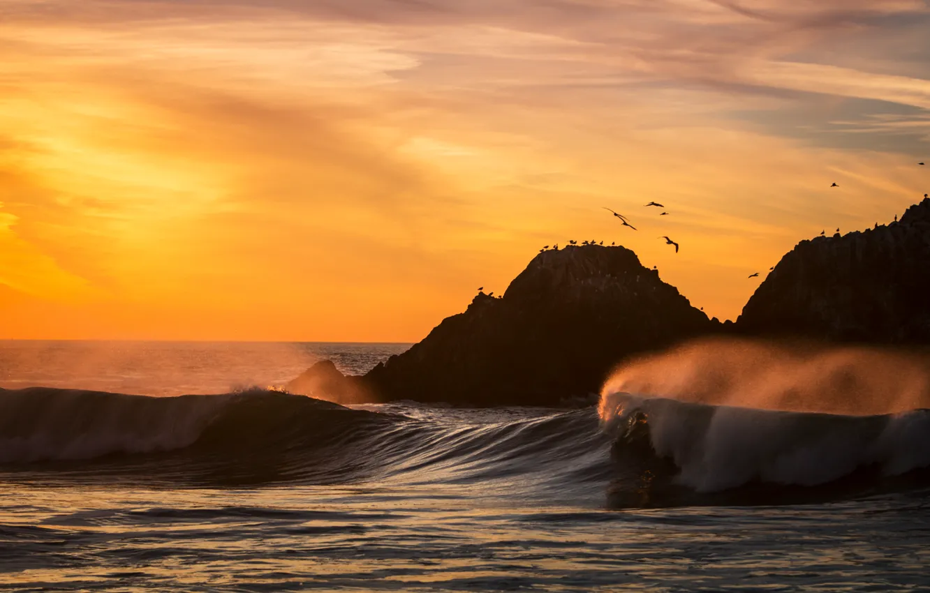 Photo wallpaper wave, beach, the ocean, bird, sunset, California, San Francisco