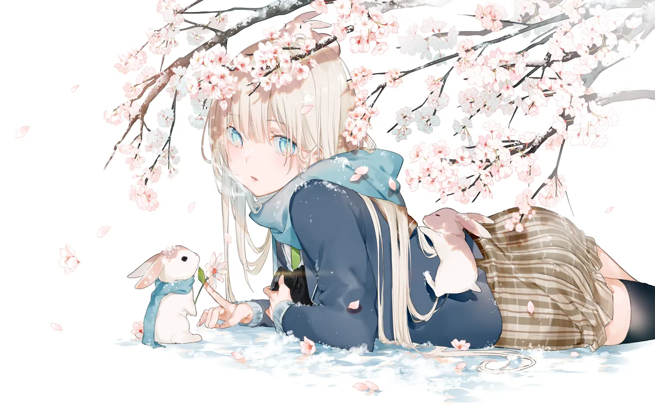 Photo wallpaper snow, Sakura, rabbit, devuschka