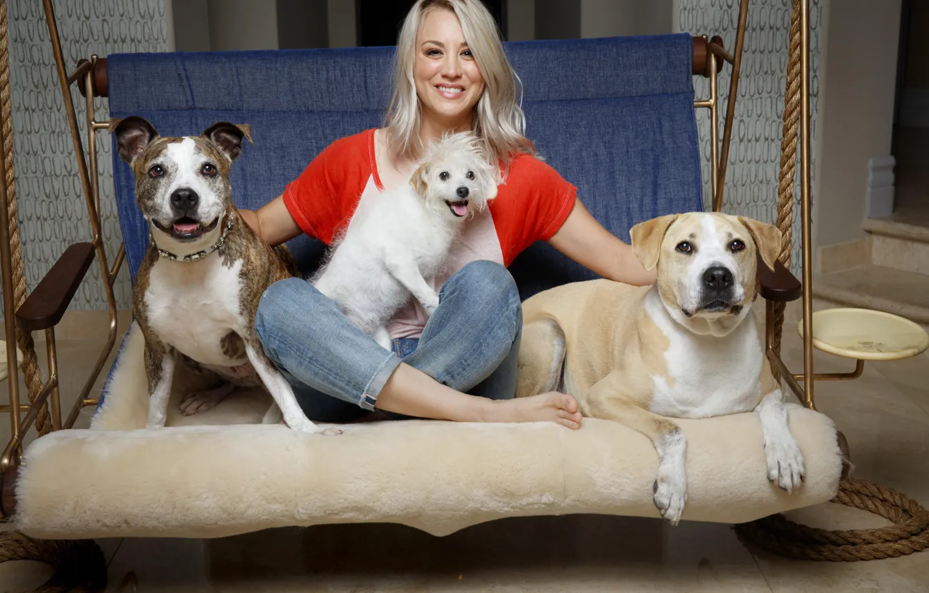 Photo wallpaper dogs, actress, blonde, Kaley Cuoco