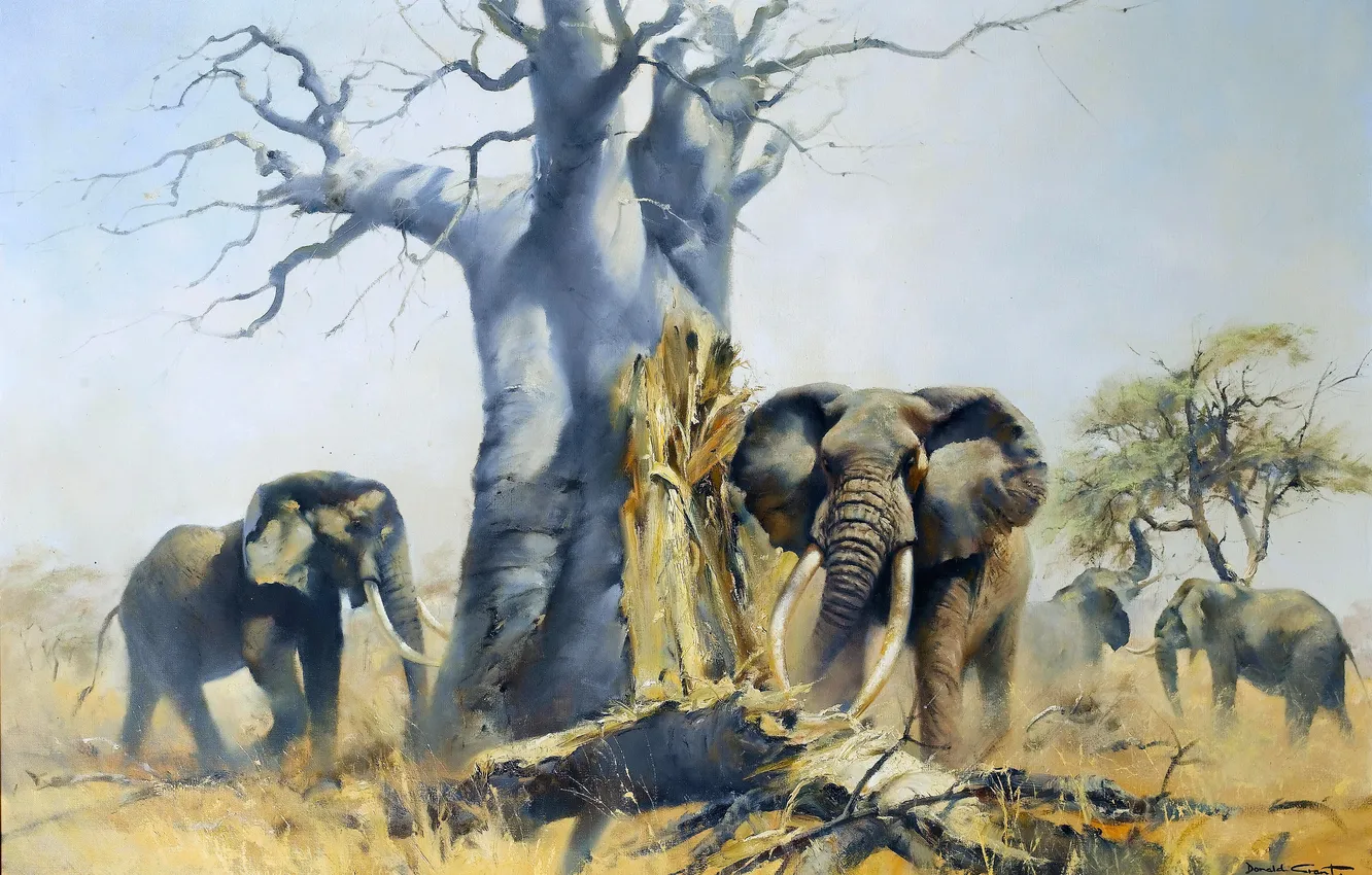 Photo wallpaper trees, elephant, picture, baobab, Donald Grant, British animal artist, Donald Grant, The death of the …