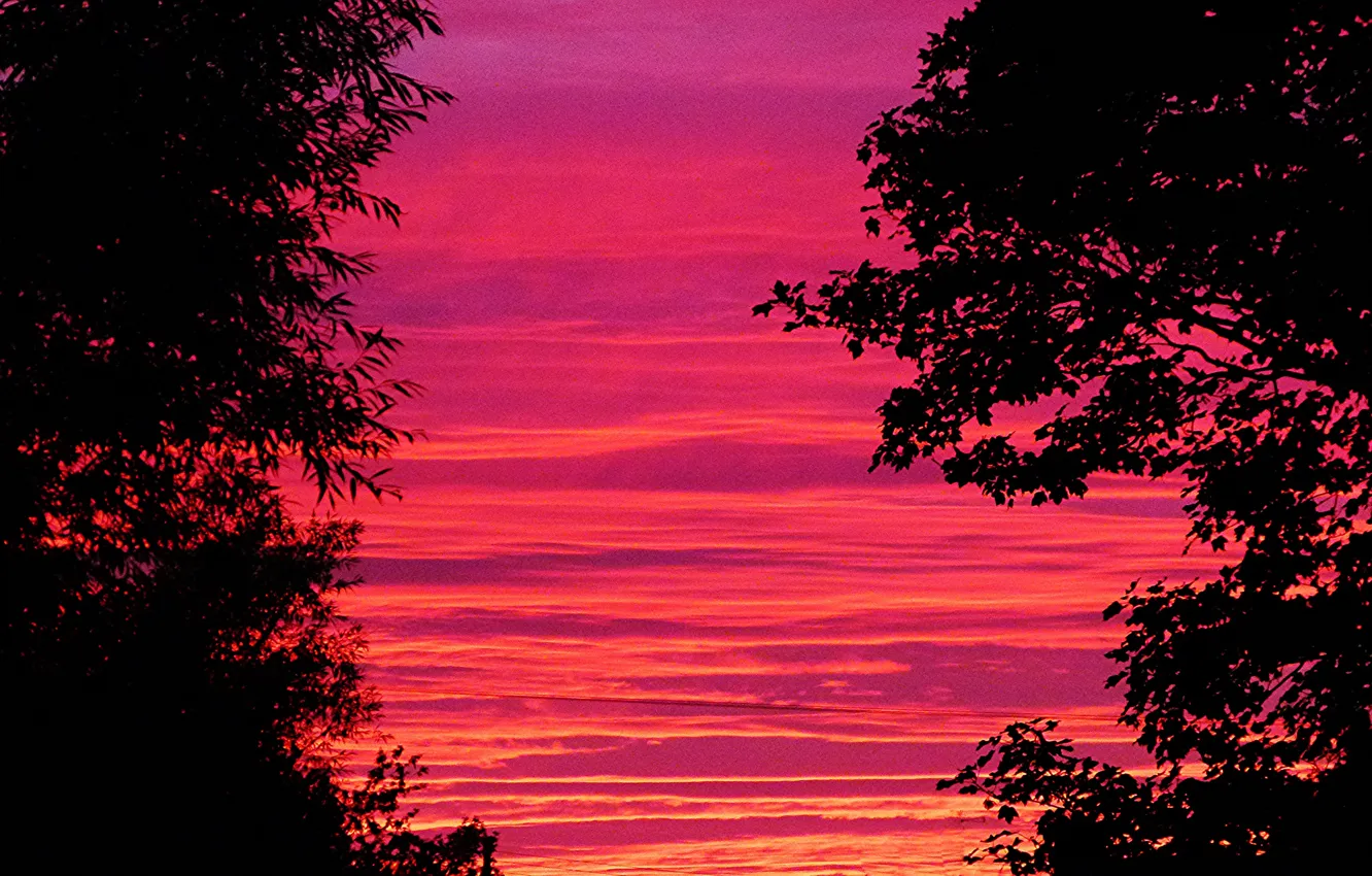 Photo wallpaper the sky, clouds, trees, silhouette, glow
