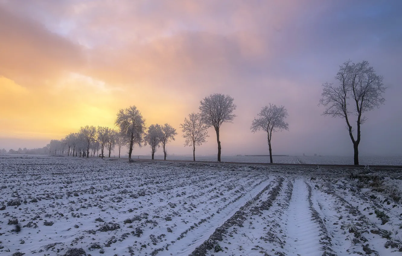 Photo wallpaper winter, field, sunset