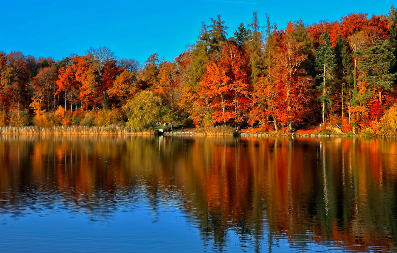 Photo wallpaper autumn, forest, trees, pond, Park, reflection, people