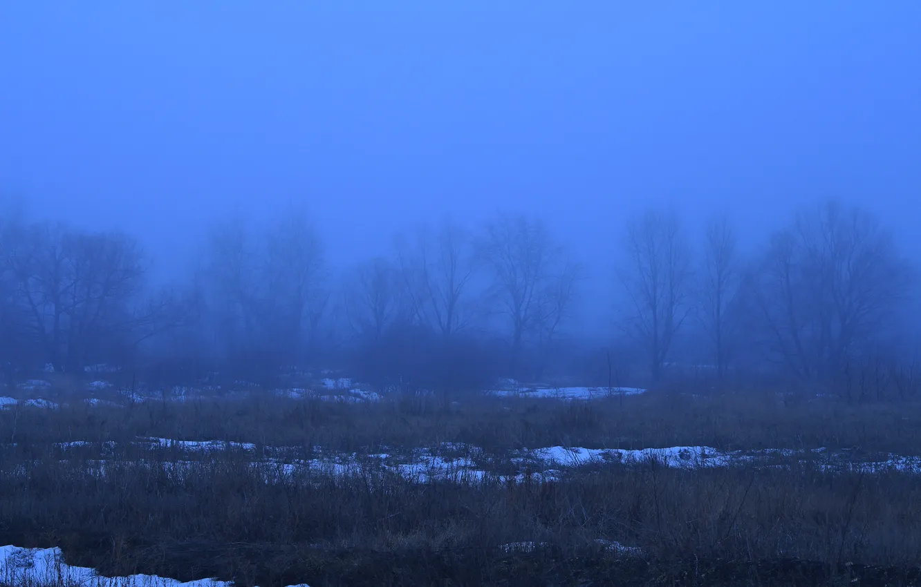 Photo wallpaper snow, trees, nature, fog, spring, the evening, Russia, twilight