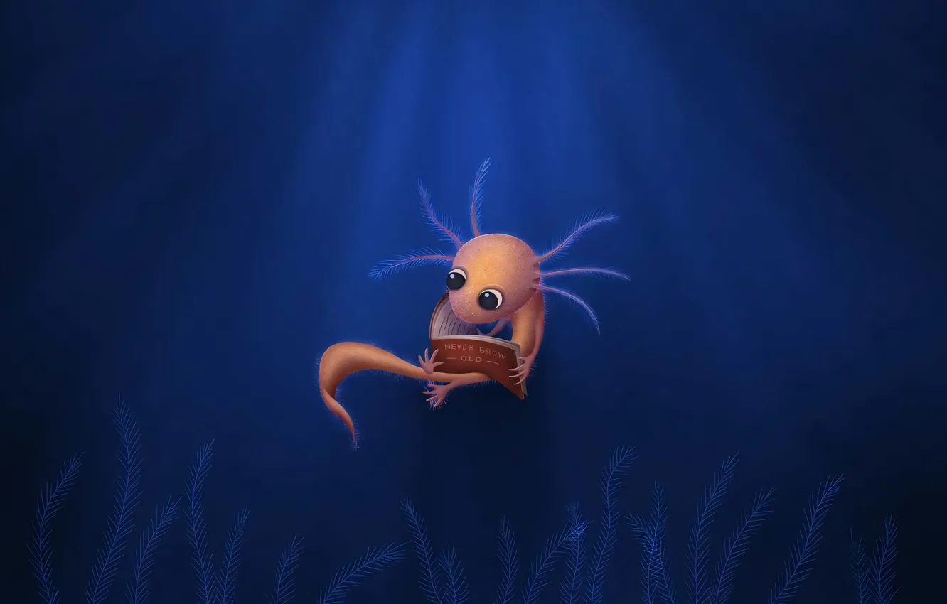 Photo wallpaper water, animal, vladstudio