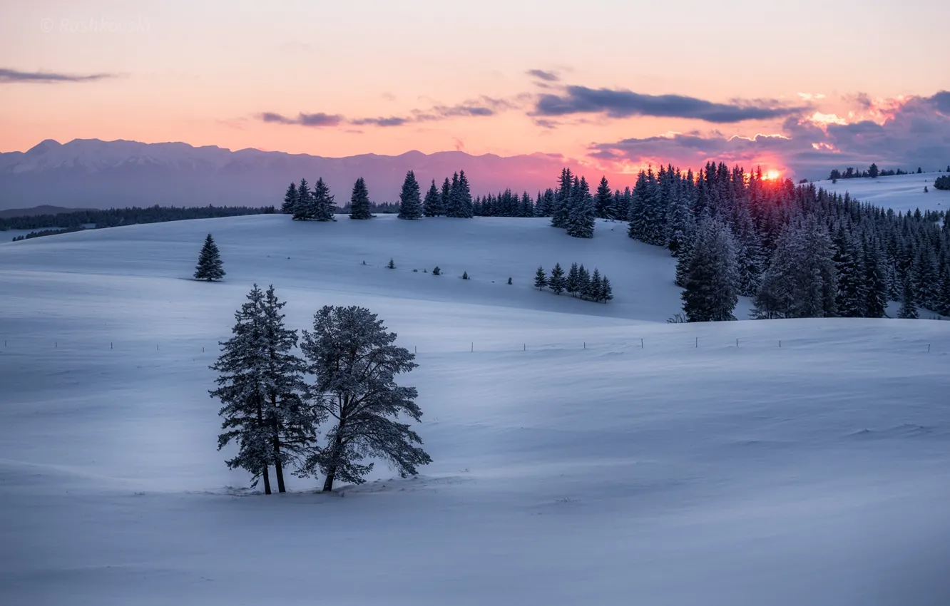 Photo wallpaper winter, the sun, sunset, Winter Sunset