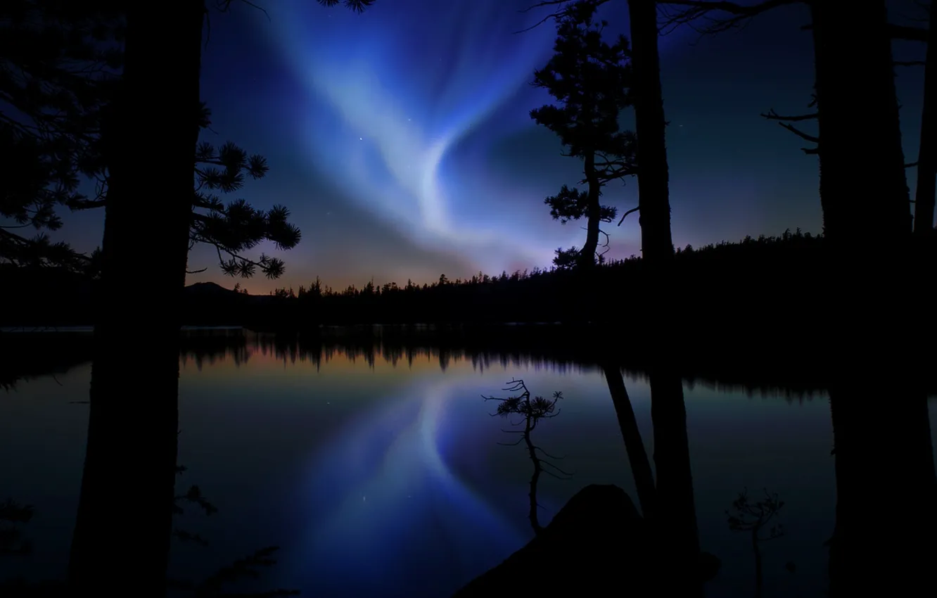 Photo wallpaper forest, trees, lake, reflection, mood, glow, Northern lights, Aurora