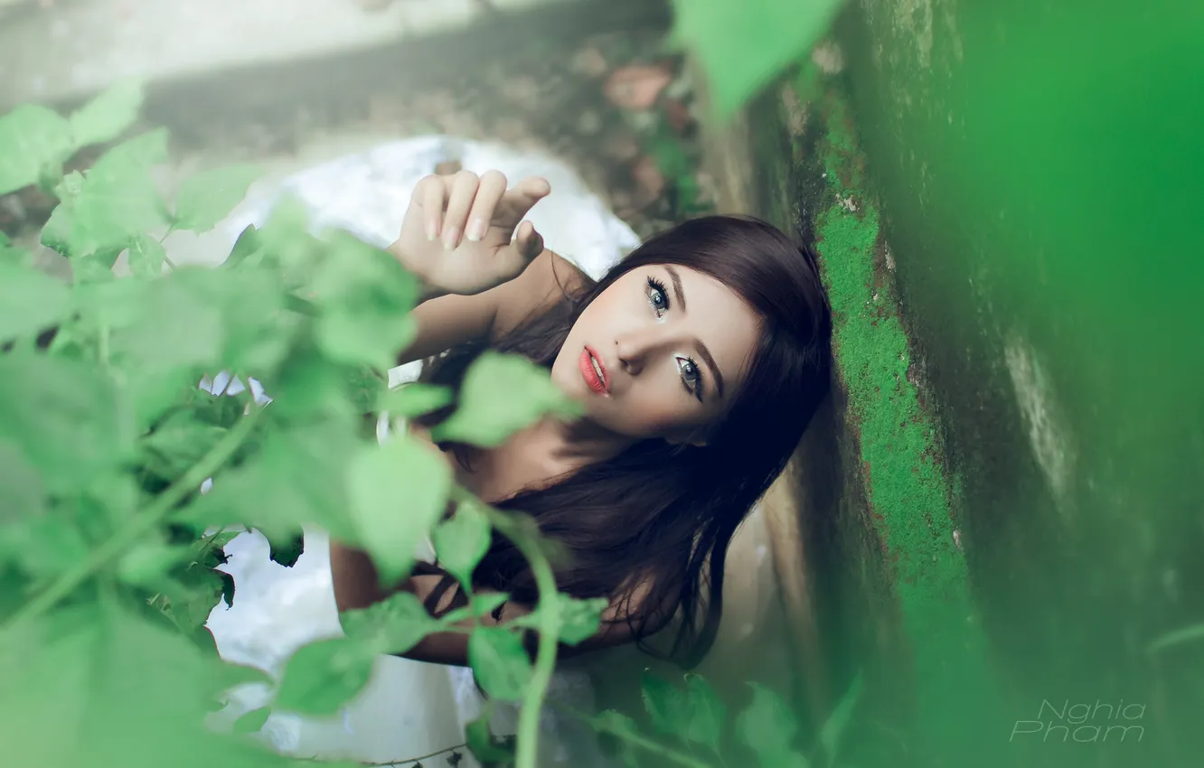 Photo wallpaper greens, look, leaves, girl, plant, brunette, girl, Asian