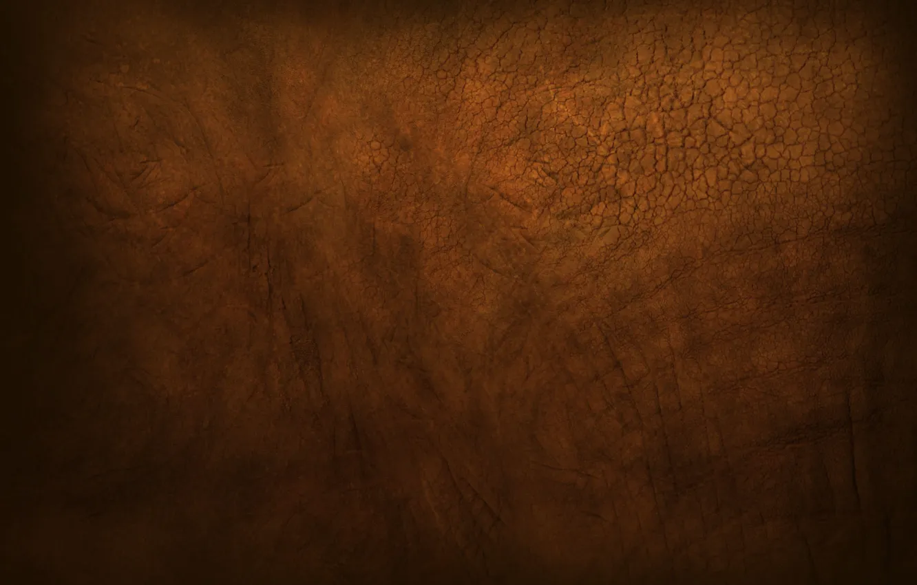 Photo wallpaper brown, muddy, gutsy, Elephant skin, rough, dusty