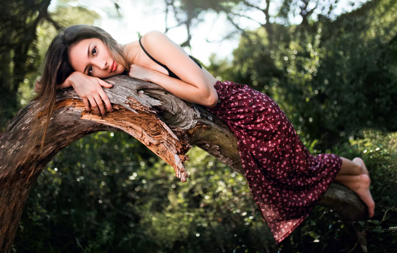 Photo wallpaper look, nature, pose, model, skirt, portrait, makeup, brunette