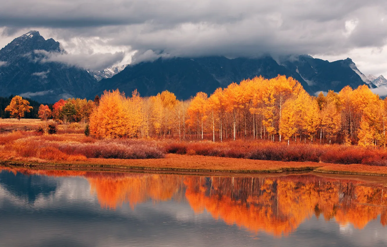 Photo wallpaper autumn, forest, mountains, river