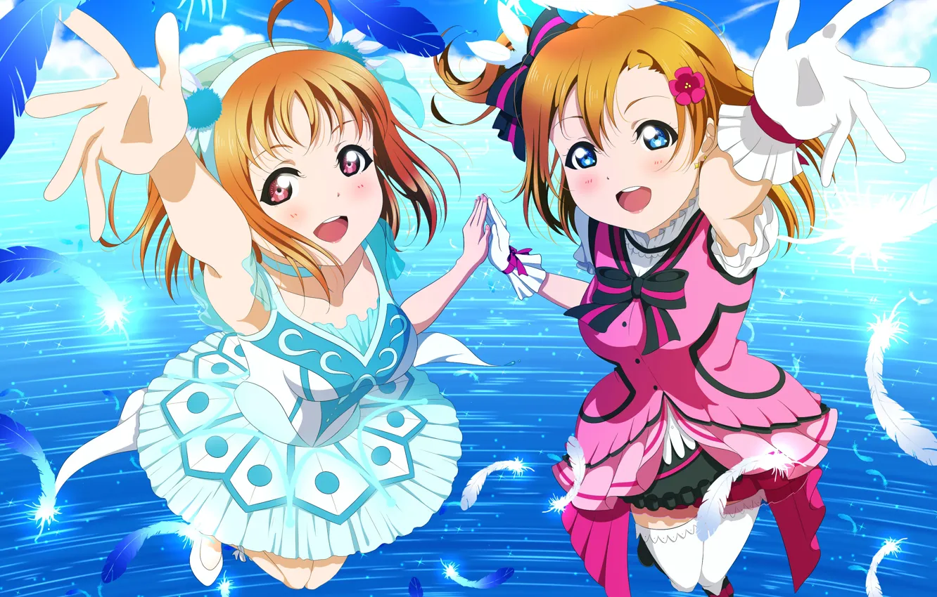 Photo wallpaper girls, feathers, Love Live School Idol Project, Living love
