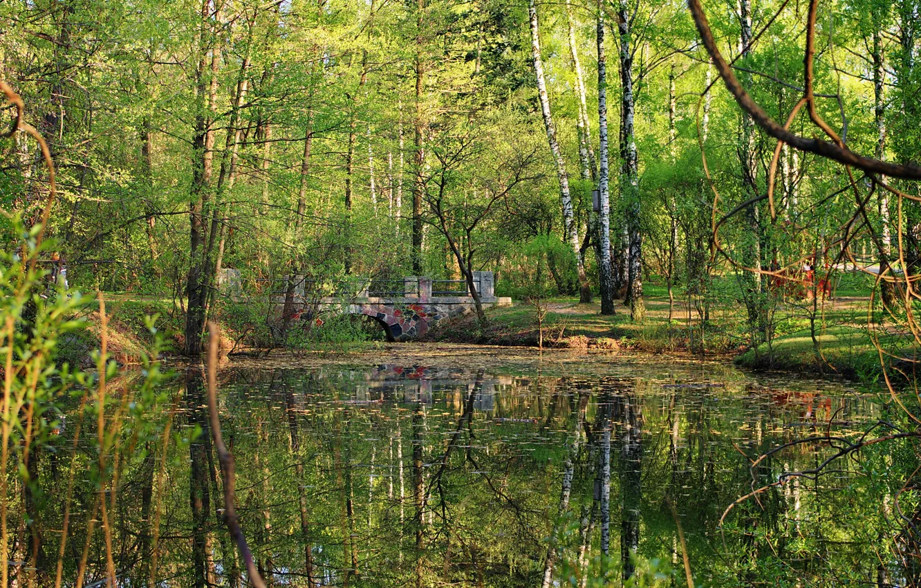 Photo wallpaper forest, water, trees, landscape, bridge, pond, Park, reflection