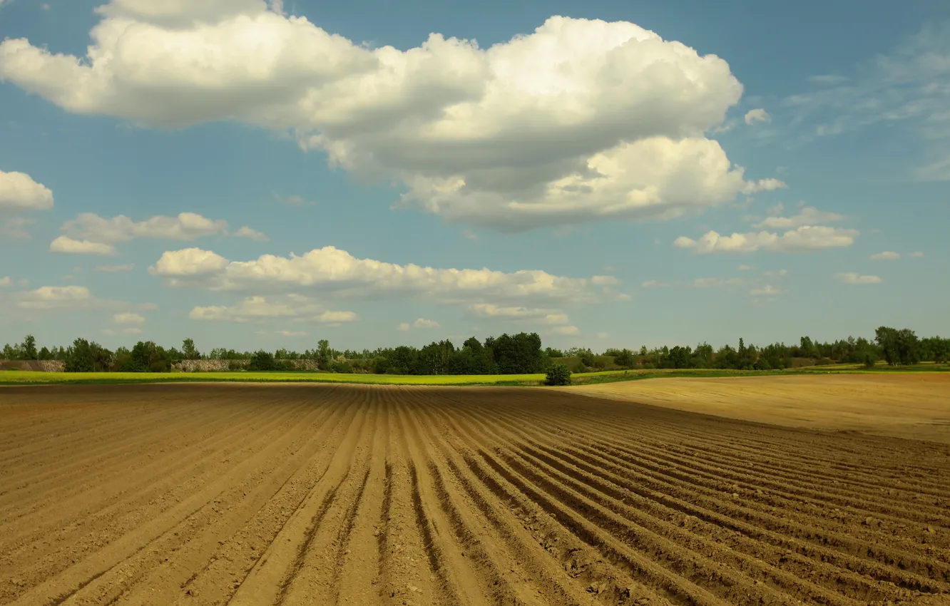Photo wallpaper field, the sky, clouds, strip, earth, blue, spring, dal