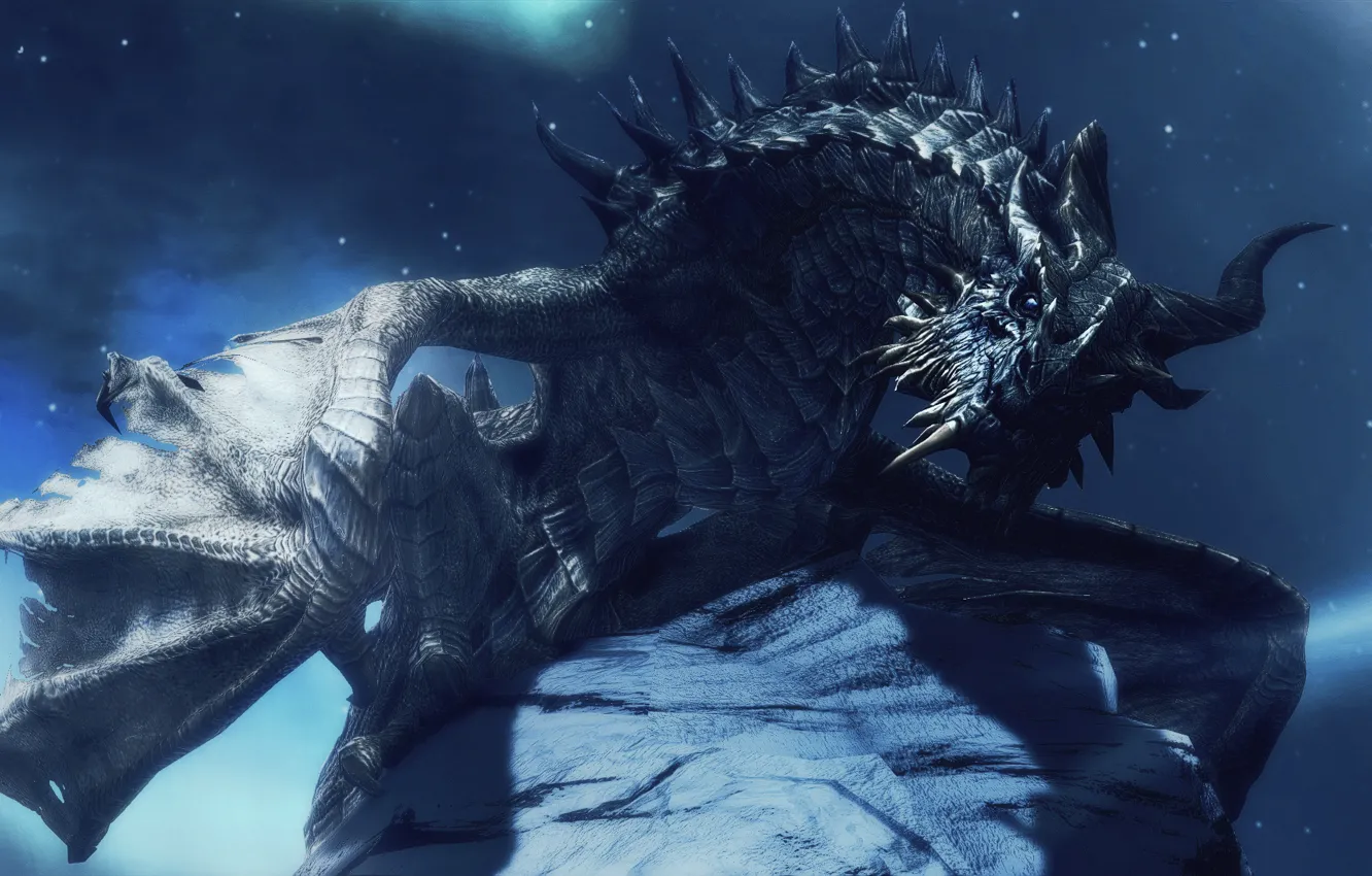 Photo wallpaper look, stars, night, dragon, wings, horns, The Elder Scrolls V Skyrim