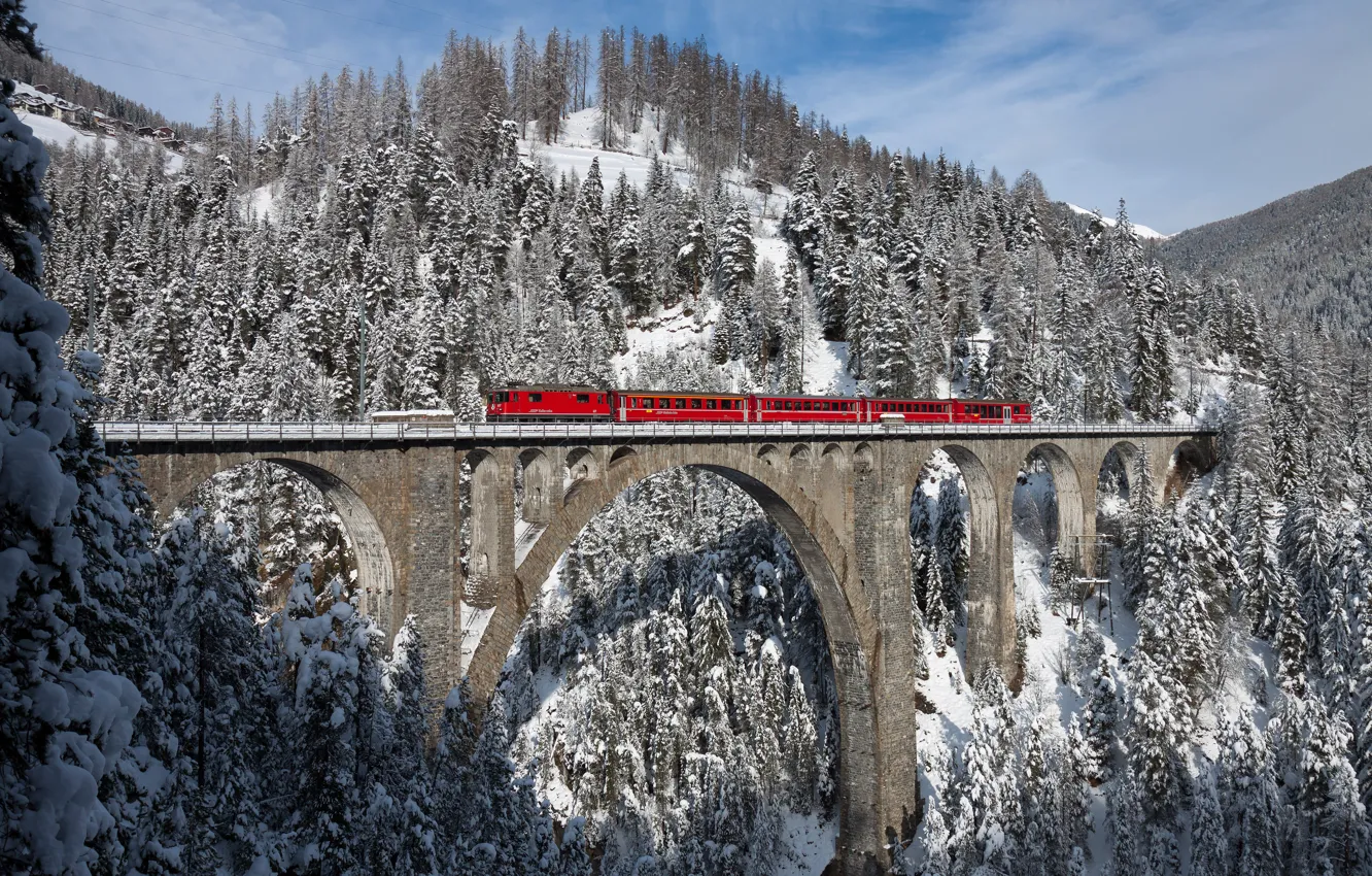 Photo wallpaper winter, forest, snow, train, Switzerland, forest, Switzerland, winter