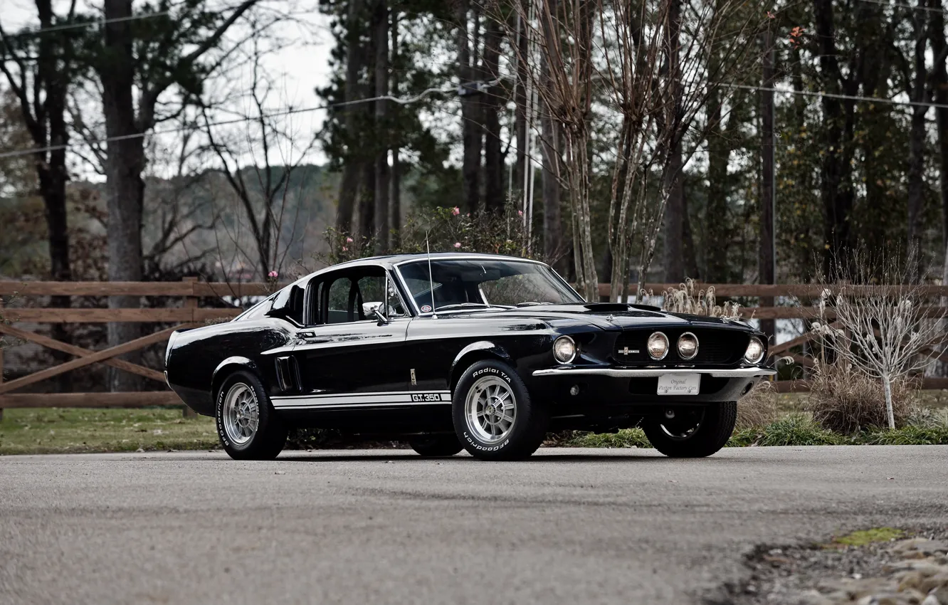 Photo wallpaper Mustang, Ford, Shelby, Mustang, Ford, Shelby, 1967, GT350