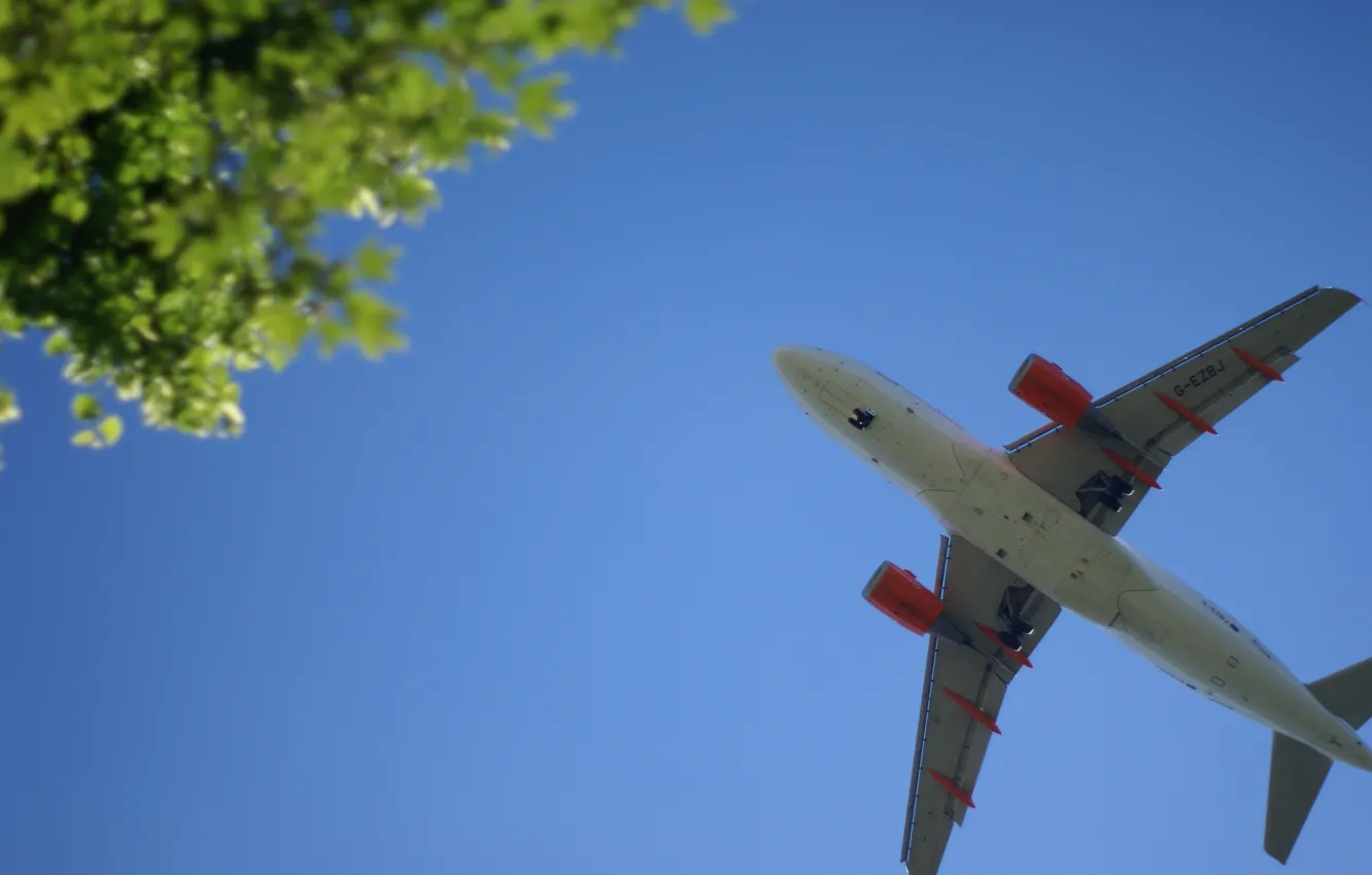 Photo wallpaper the sky, trees, aviation, blur, the plane