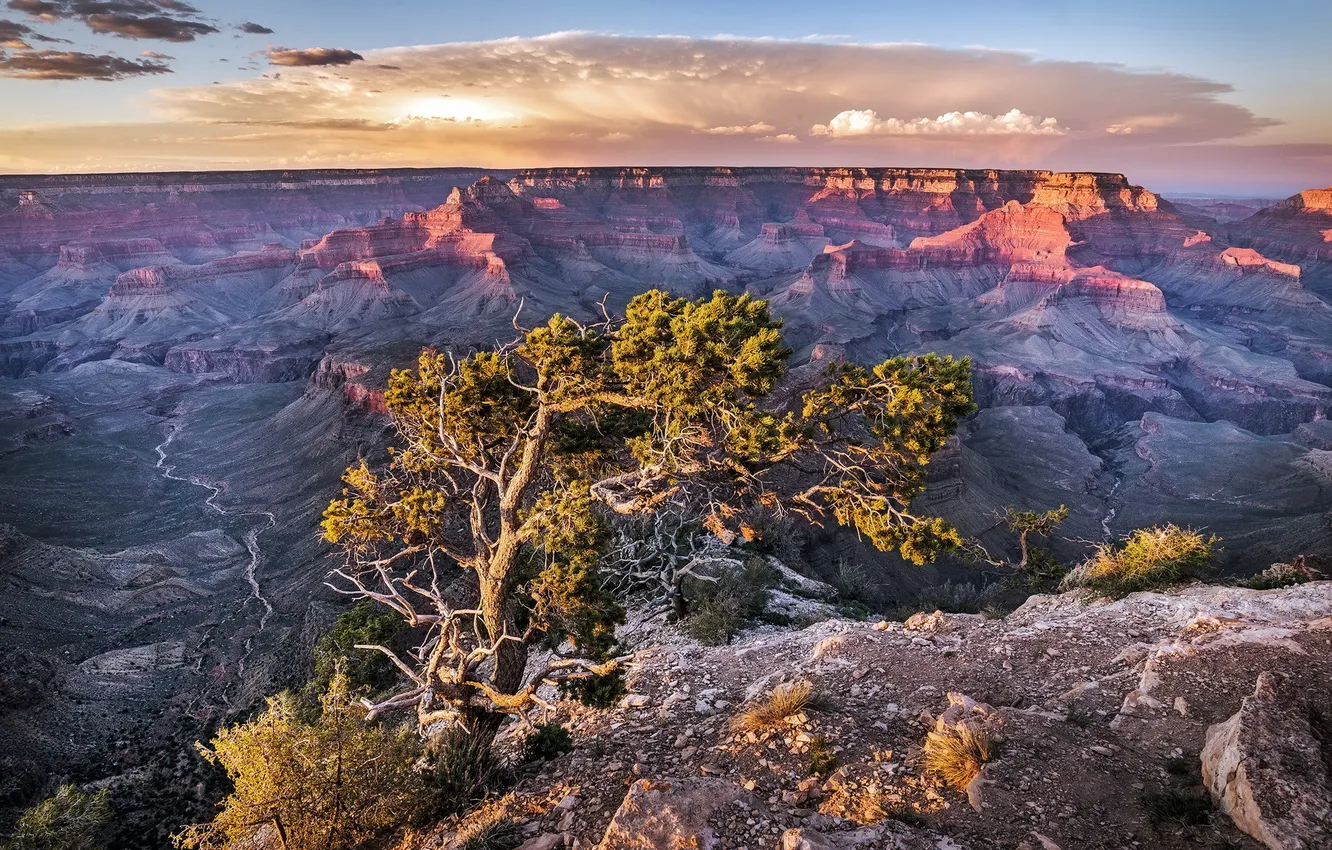 Photo wallpaper landscape, Arizona, Grand Canyon, National Park