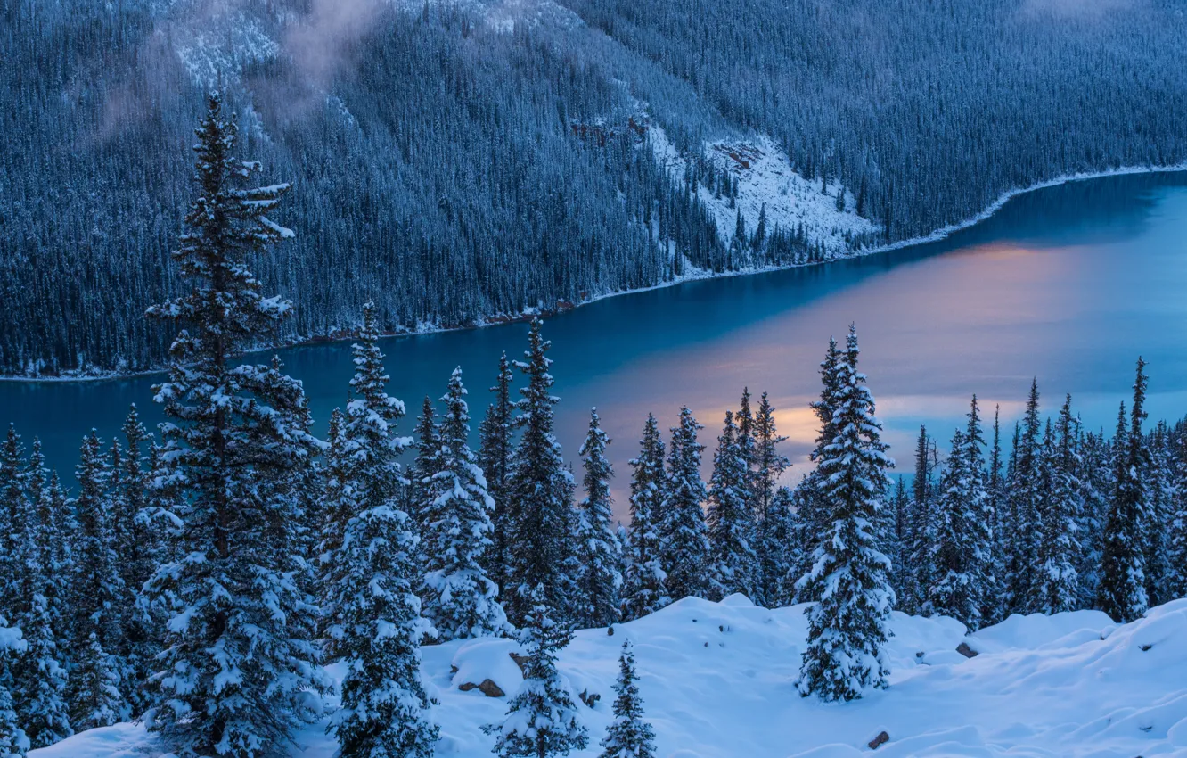 Photo wallpaper Nature, Winter, Trees, Snow, Banff National Park, Canada, Peyto Lake