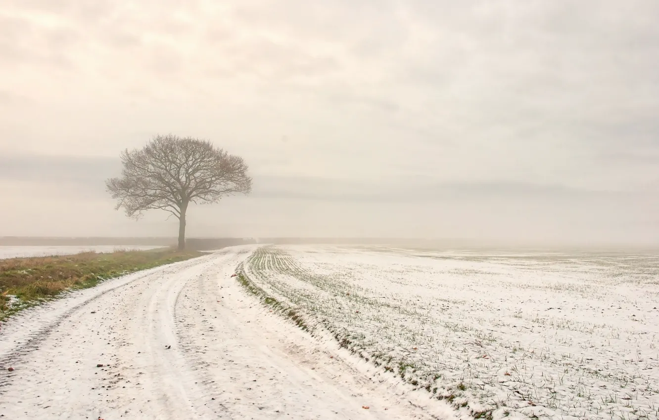 Photo wallpaper winter, road, field, snow, trees